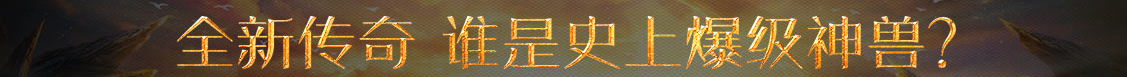 莘县新闻网